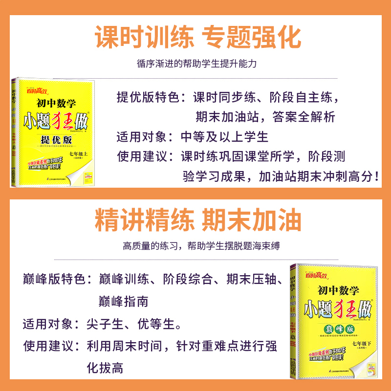 物理 苏科 巅峰版 九年级下 [正版]2025小题狂做提优版巅峰版七年级上册八年级下册九年级数学语文英语化学物理九下八上