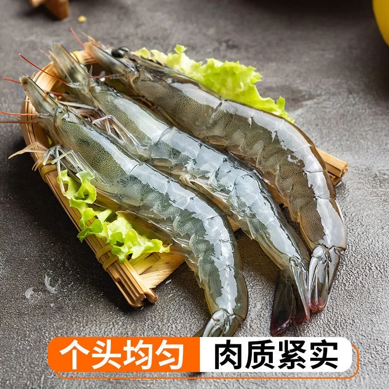 五个农民青岛大虾 盐冻大虾3.5斤装13-16cm 顺丰速运