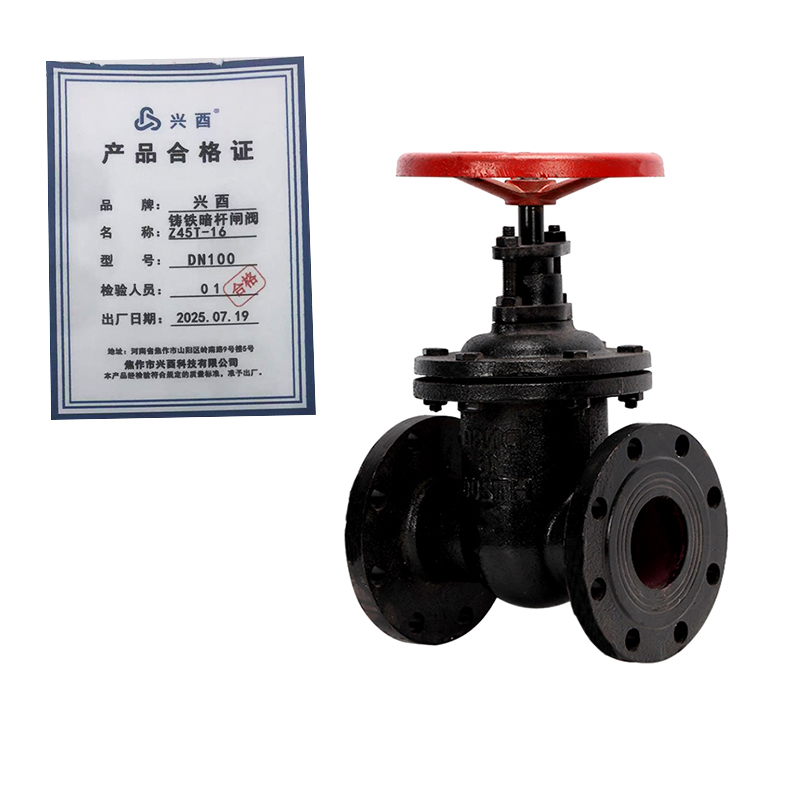 兴酉 铸铁暗杆闸阀Z45T-16 DN100 个高清大图