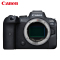 佳能(Canon)EOS R6 微单机身 全画幅微单 4K视频拍摄 配合镜头实现双重8级防抖 动物检测