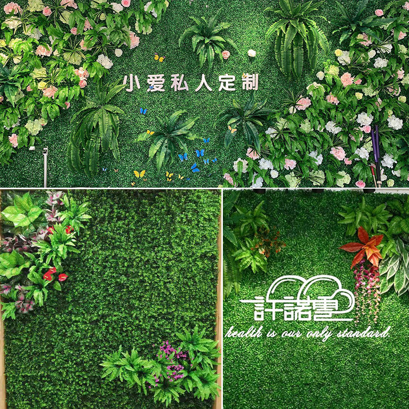 绿植墙仿真植物草坪墙 混合金钱草