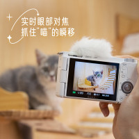 索尼(SONY)ZV-E10L 半画幅微单相机 16-50mm标准镜头套装 白色