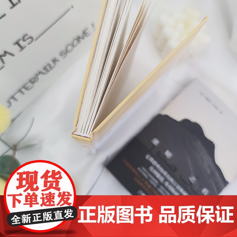 坚韧之石(一曲关于阿富汗女性的悲歌,《追风筝的人》作者胡赛尼作序,诺奖提名作家拉希米力作)高清大图