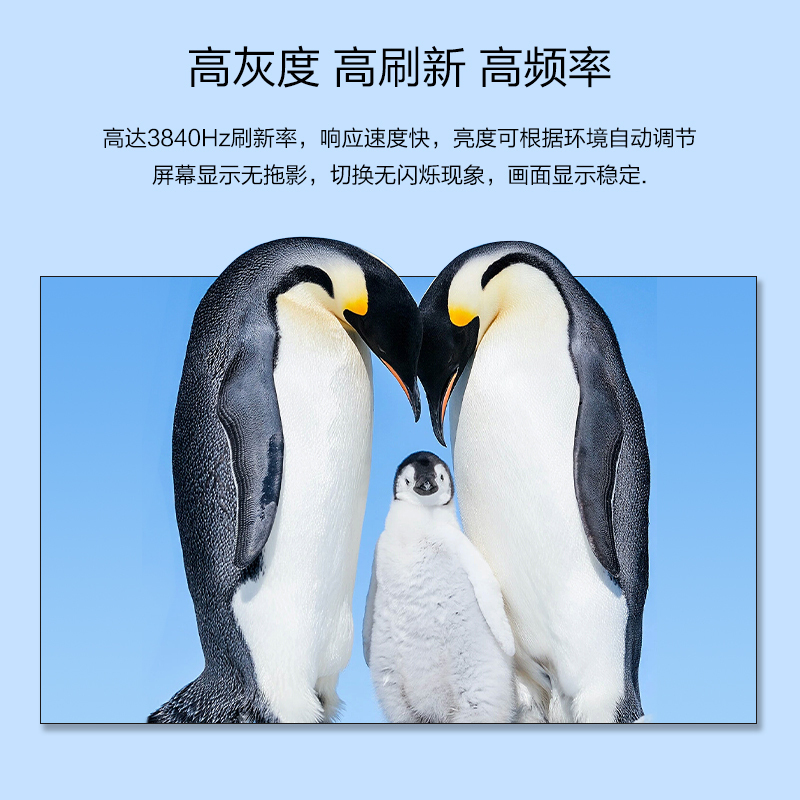 酷彩商显 150英寸室内P1.86全彩LED显示屏 3.2m*1.76m高清大图