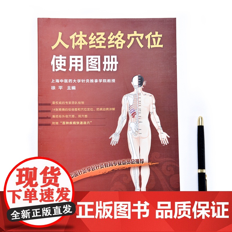 人体经络穴位使用图册 身体穴位图按摩大全中医养生书籍 推拿人体穴位书针灸养生经络穴位按摩大全书 理疗书籍正版高清大图