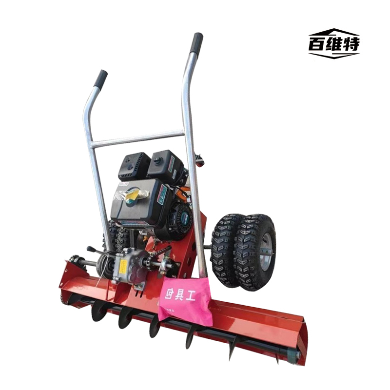 BWT-QS6500型 内燃手推式扫雪机高清大图
