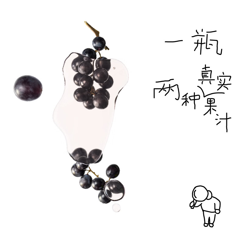 喜茶轻果茶 低糖低卡零脂果味茶饮料整箱 葡萄黑加仑450ml*15瓶高清大图