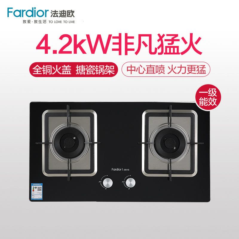 Fardior/法迪欧燃气灶JZY-2B15 黑金防爆钢化玻璃面板 台嵌两用 液化气 灶具 家用燃气灶图片