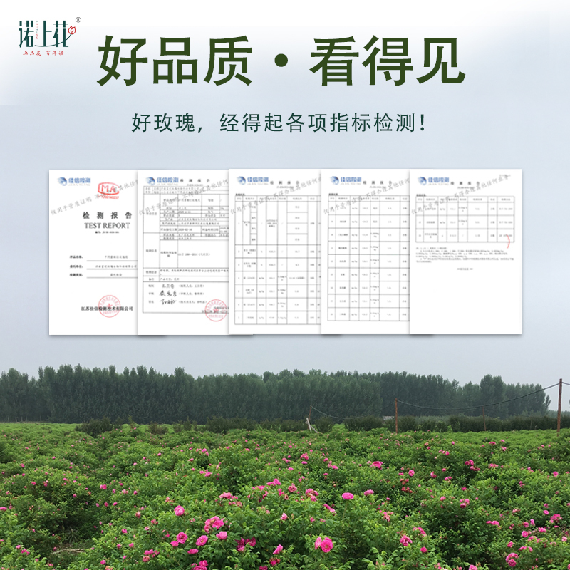 诺上花平阴玫瑰花蕾茶50g瓶装低温烘干含苞待放玫瑰花茶花蕾茶