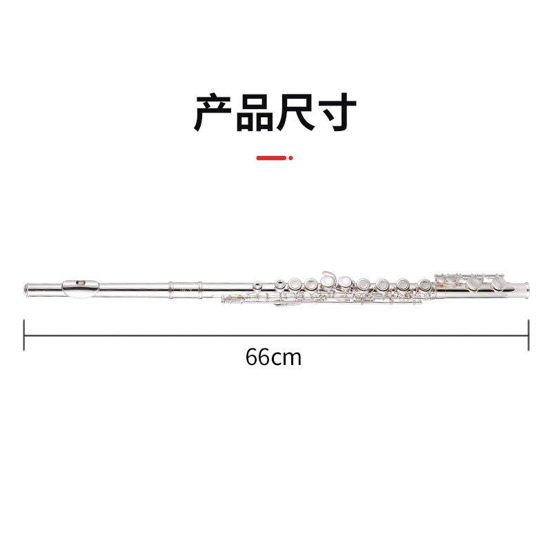 朗动(LMOVE) 长笛乐器LD-601B 16孔闭孔富贵银长笛学生初学儿童入门考级演奏