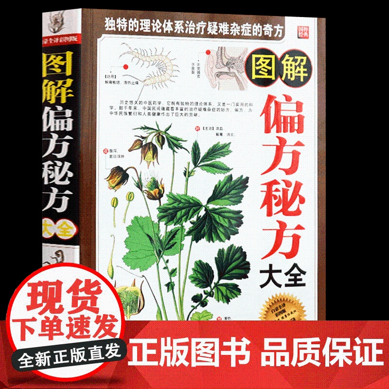 [2册] 小方子治大病+图解偏方秘方大全 书籍高清大图