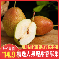 【现摘现发】源自库尔勒红香酥梨皮薄多汁当季鲜果5斤坏果包赔