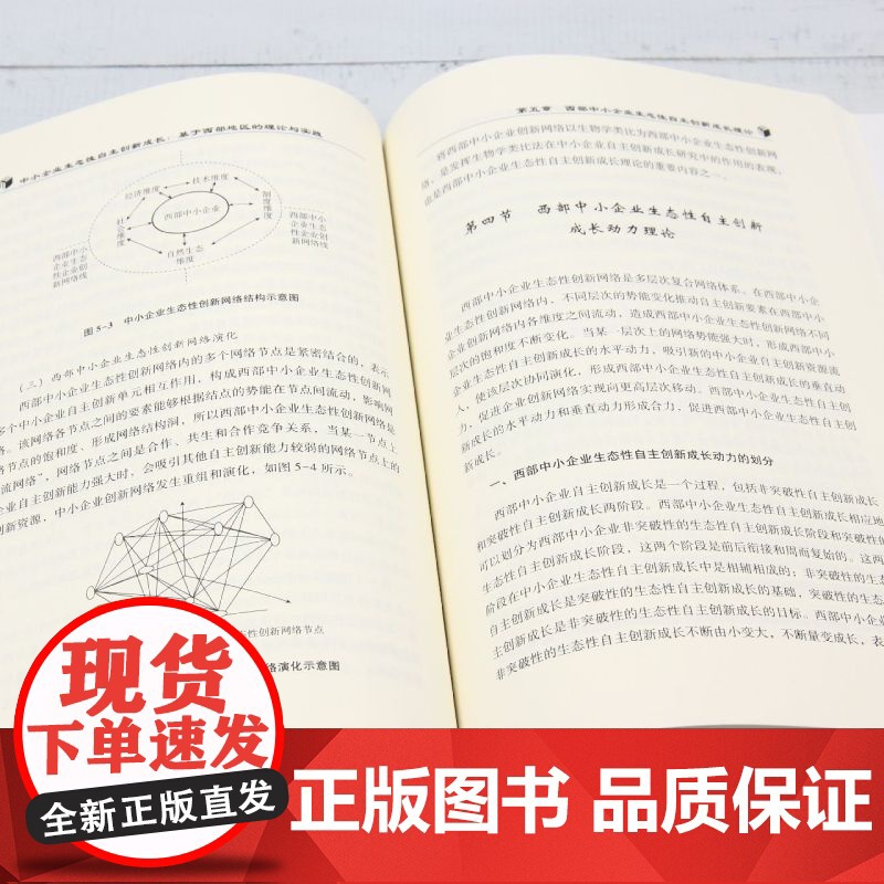 中小企业生态性自主创新成长:基于西部地区的理论与实践高清大图