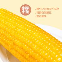 玉米巨沃东北黄糯玉米[10袋*210g]