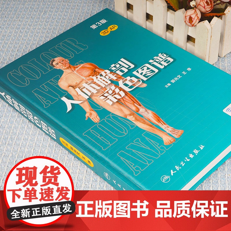 人体解剖彩色学图谱 第三版第3版新版郭光文3D搭奈特医用医学生解剖书外科全彩局部系统实用解剖彩绘本科大学教材二版升级人民高清大图