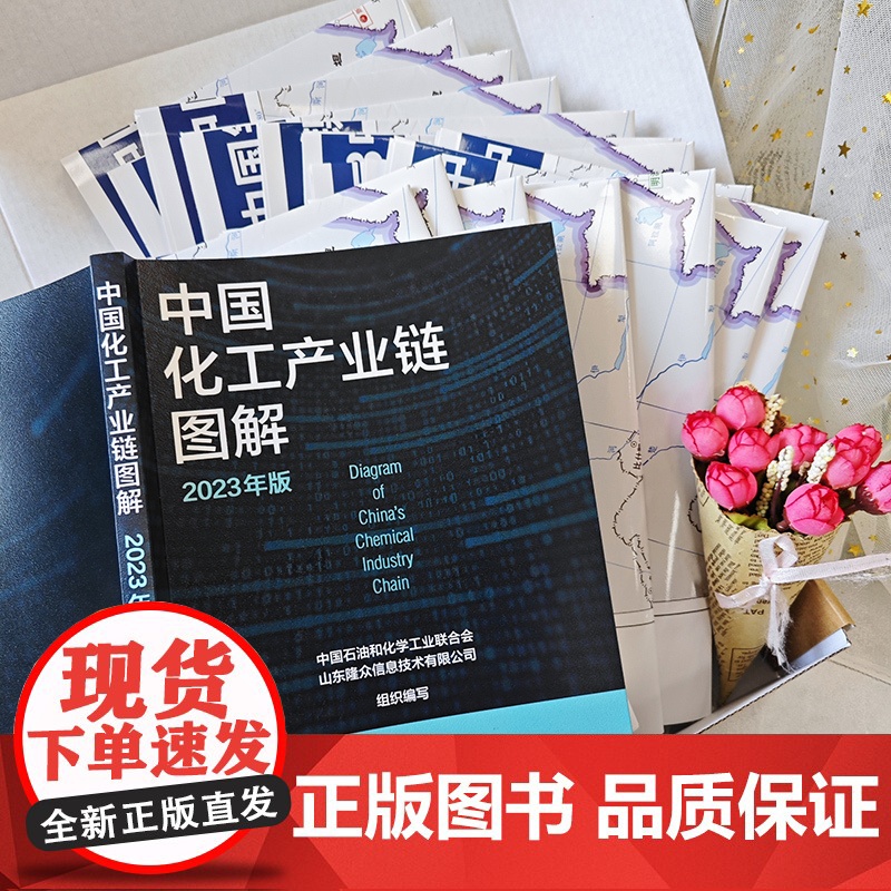 中国化工产业链图解 2023年版 中国化学工业主要产业链企业规模及布局工具书 13条化工产业链图 中国石化化工行业重点产高清大图