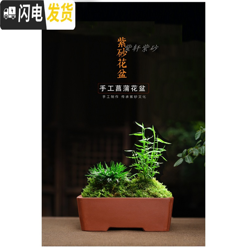 三维工匠紫砂素盆光面小花盆马长方形多肉六方四方阳台盆栽盆景肉肉菖蒲 桔红色---素8 中等花盆容器高清大图