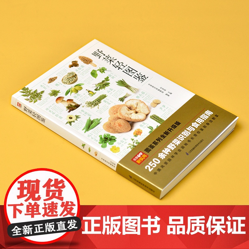 野菜轻图鉴 250余种野菜识别与食用指南 分类 名称 特征识别 生活习性 繁殖方式 科普常见野菜识别知识 享受采摘野菜高清大图