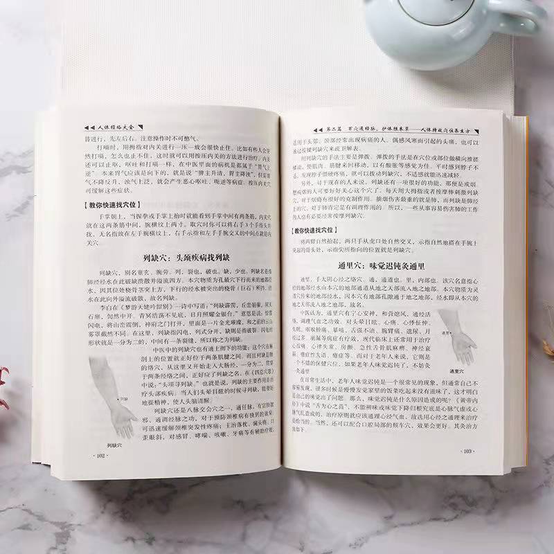 [醉染正版]人体经络大全 养生大系 家庭实用百科全书 中医养生保健 经络通路 精心呵护图片