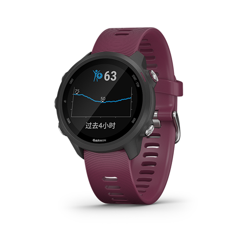 Garmin佳明Forerunner245高阶跑步心率运动智能功能手表旗舰防水50m(珊瑚紫)