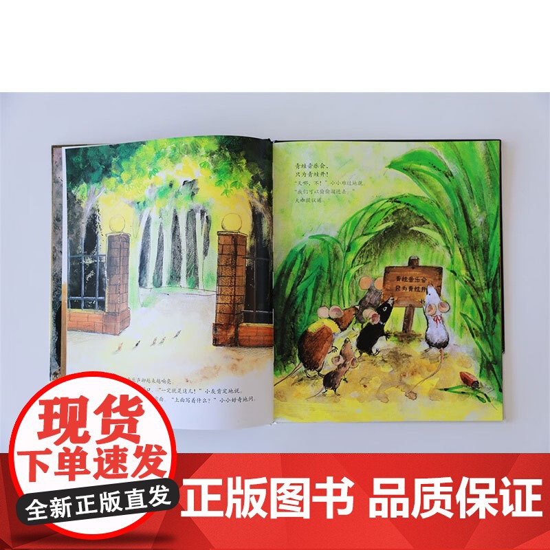 5只好老鼠 音乐会 3-6岁 田代千里 著 绘本高清大图