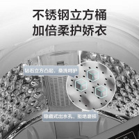 志高(CHIGO) 3.8KG洗衣机 全自动家用小型大容量波轮宿舍迷你租房洗脱一体 蓝光洗衣