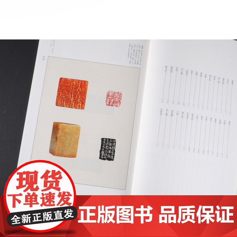 明清名家篆刻名品上下 中国篆刻名品系列10/11 原色高清印刷注释解读上海书画出版社毛笔字描写书法碑帖临摹临描练字帖书籍高清大图