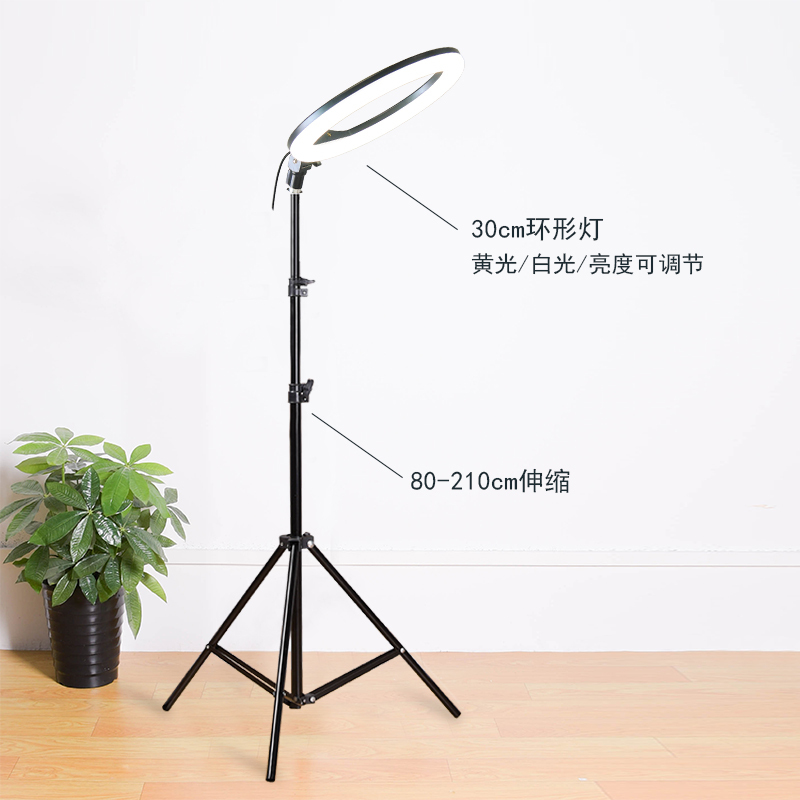 摄影灯甜品拍摄灯柔光暖光灯生日蛋糕三色调光led桌面小型补光灯|2米款-30cm环形灯