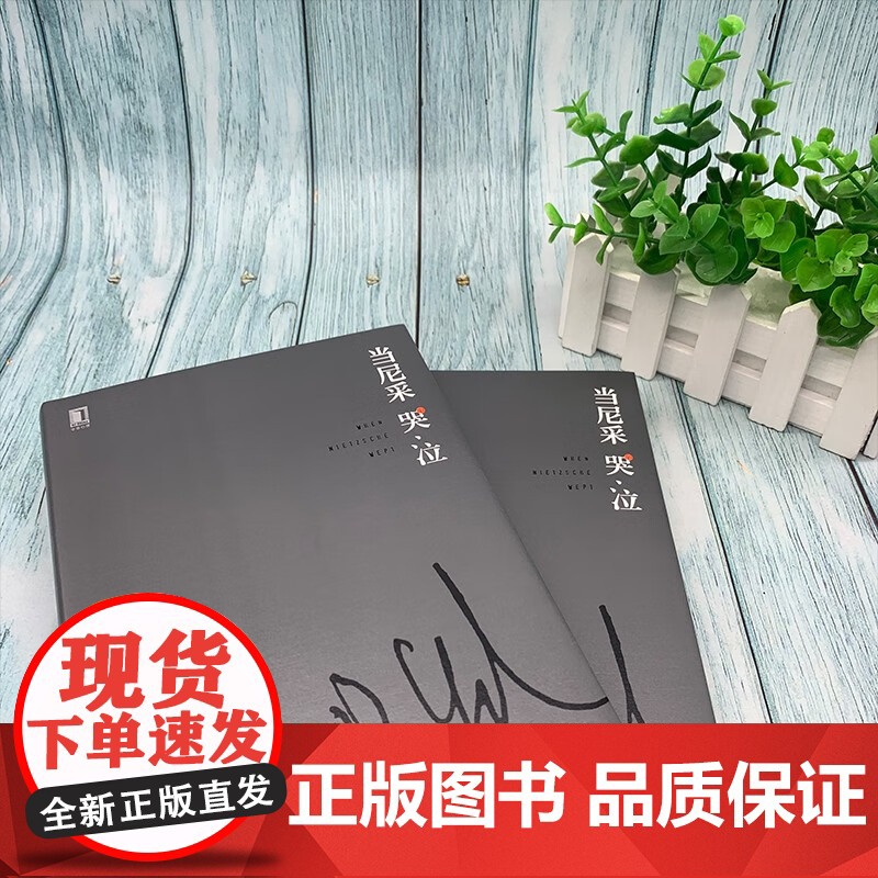 当尼采哭泣 欧文·D.亚隆 著 心理学高清大图