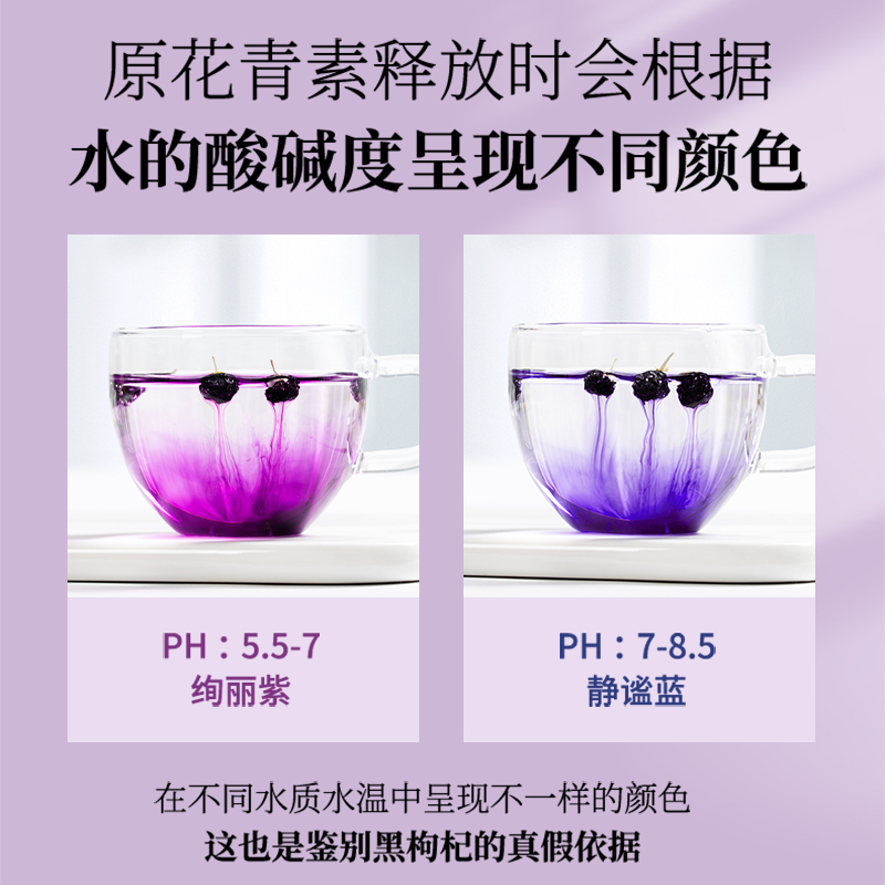 南京同仁堂黑枸杞礼盒250g 精选中果125g*2补品 青海正宗黑枸杞正品 富含花青素