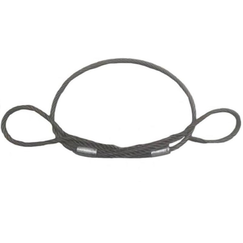 浪伍 压双环钢丝绳(带不锈钢吊牌) 10mm*4.0m/根