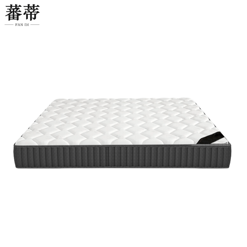 蕃蒂弹簧床垫100*200cm张图片