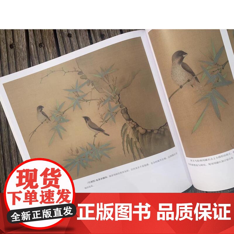赵佶《桃鸠图》《竹禽图》《写生珍禽图》课徒稿 上海人民美术出版社高清大图