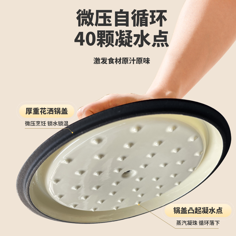 利仁 FL-22J 2.5L珐琅锅铸铁锅炖锅砂锅汤锅焖烧锅电磁炉燃气煮锅高清大图