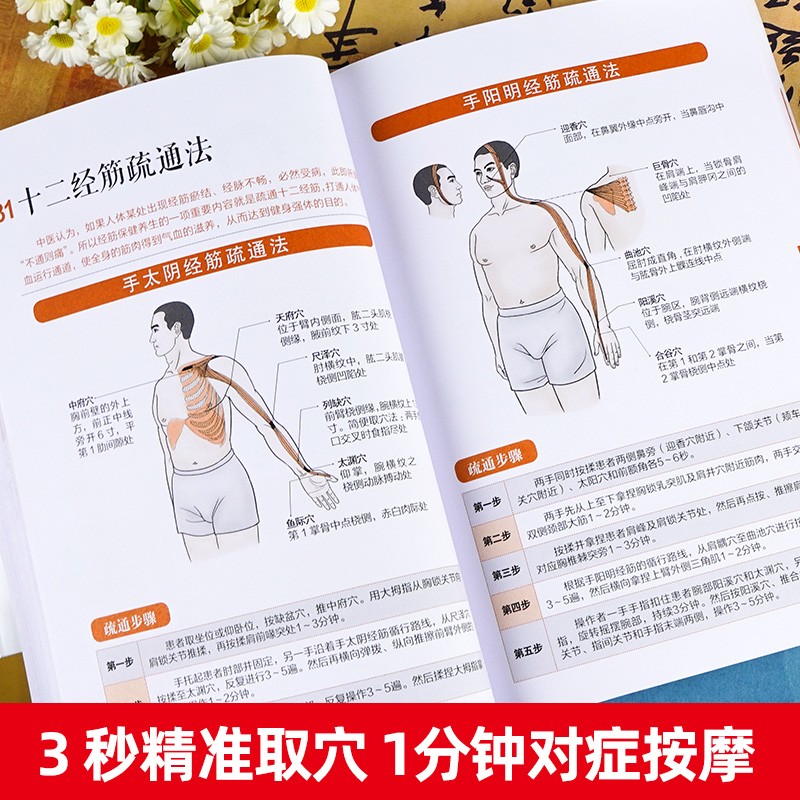 [官方正版]十二经络调筋术 [正版]图解十二经络调筋术十二经筋疏通法全图解一学就会50种经筋病症的康复训练12种经筋功用高清大图