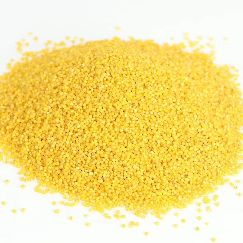 [2斤真空]鹤来香黄小米500g*2小米新米农家小黄米五谷杂粮粗粮小米粥真空装酥田推荐月子米高清大图