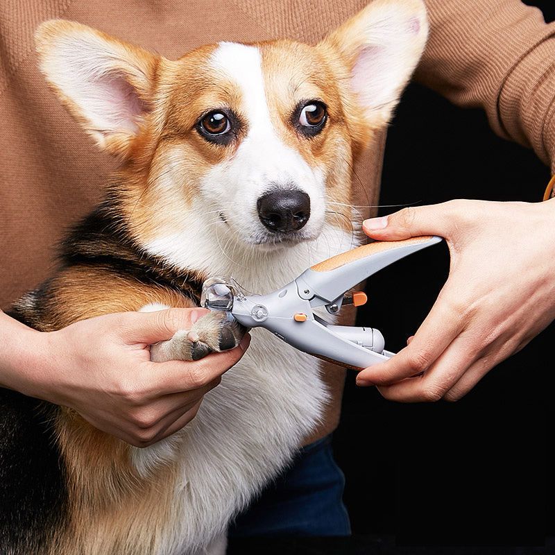 猫剪指甲宠物修剪清理指甲神器磨甲器指甲钳狗猫咪指甲剪新手清仓特价