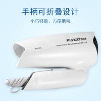 飞科(FLYCO)宿舍酒店宾馆礼品家用小功率吹风折叠冷热风电吹风机
