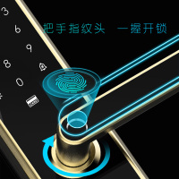 皇家金盾（HOJOJODO）D2智能指纹锁 智能锁家用 防盗智能门锁电子密码 锁智能安防 黑色