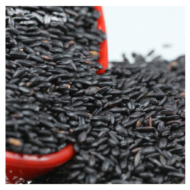 七河源 黑米1kg (无添加 无染色 东北 五谷 杂粮 粗粮 粥米 真空装大米伴侣)