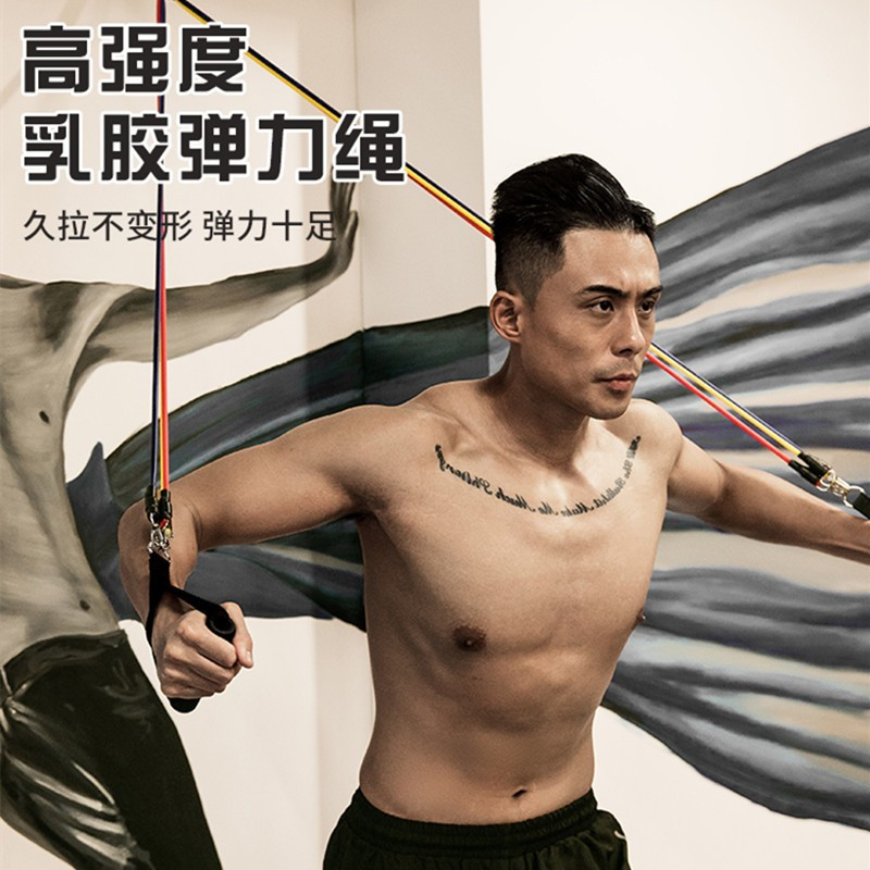予力(yuli) 健身阻力拉力带锻炼11件套 100磅 YL-HJ-60063