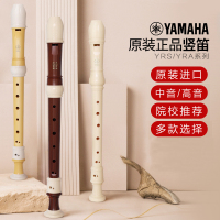 雅马哈(YAMAHA)竖笛乐器初学者高音中音8八孔入门儿童德式笛子小学生英式 YRS-301III(高音德式)