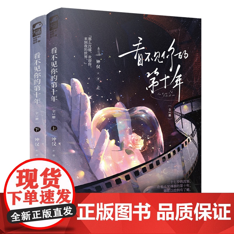 看不见你的第十年(全2册) 钟仅 著 四川文艺出版社 情感小说 青春/都市/言情/轻小说高清大图