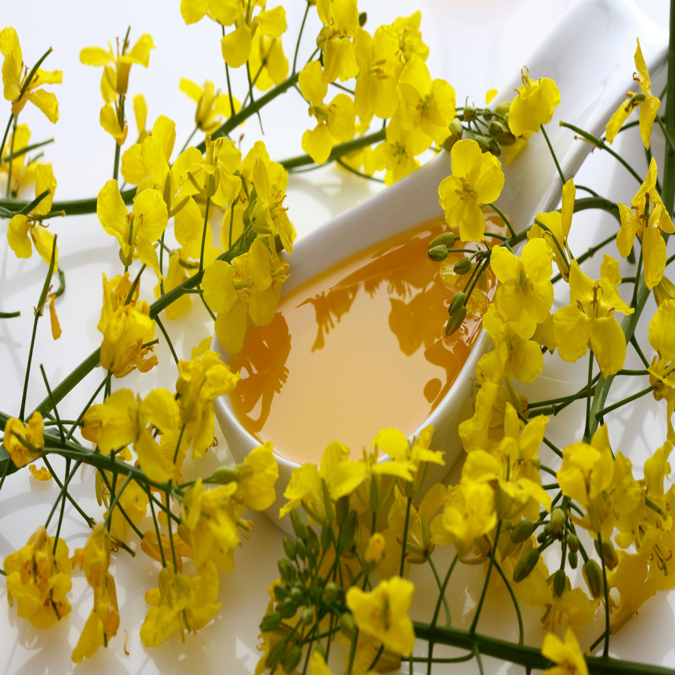 非转基因一级菜籽油5L高清大图