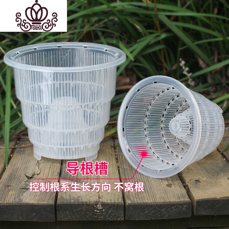 封后美莳透明蝴蝶兰控根花盆透气洋兰专用盆大号塑料树脂家用石斛花盆 [5只][单层盆]口径15cm洋兰盆[带空气柱] 中等