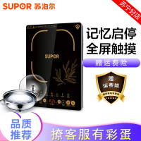 苏泊尔（SUPOR） SDHCB11T-210 电磁炉火锅 送汤锅 微晶面板 智能触控式屏电磁灶5档大火力 套装
