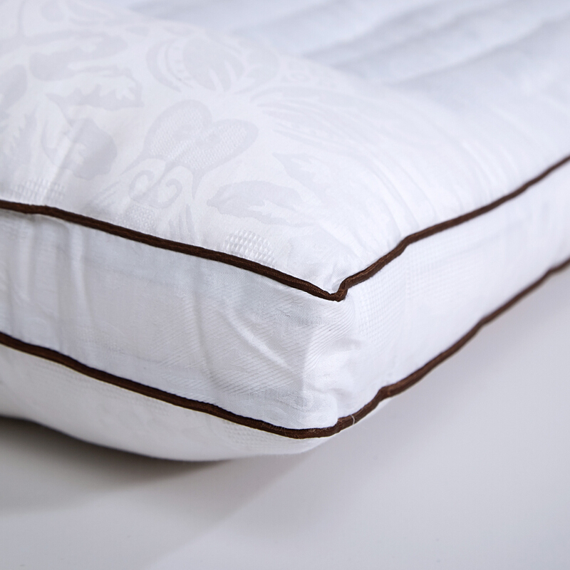 丹虹决明子枕芯 决明子双面枕健康护颈 枕头 白色(1个)填充净重:蚕丝