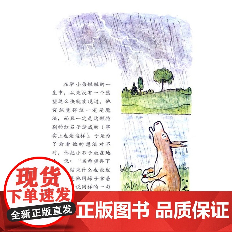 驴小弟变石头信谊硬壳精装绘本图画书一个体现亲情之爱的温馨故事适合4岁5岁6岁7岁8岁亲子共读获凯迪克金奖作品正版童书高清大图
