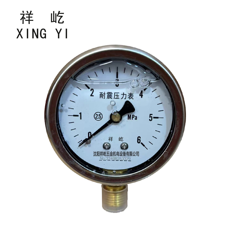 祥屹+耐震压力表检测定制型+YTN60+块 0-6Mpa