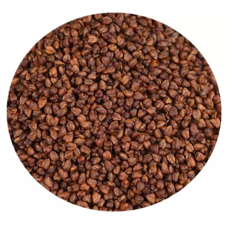 吕小脆 苦荞茶 250g/瓶